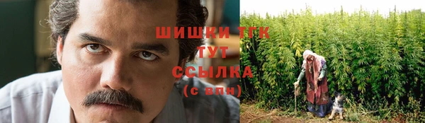 гидра Бежецк