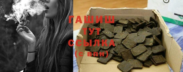 молекула духа Козельск
