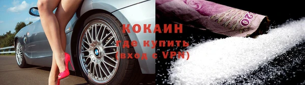 молекула духа Козельск