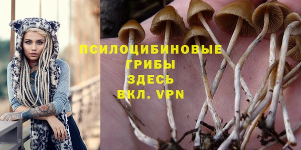 меф Кодинск