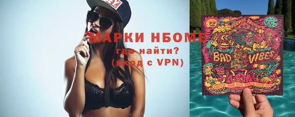 молекула духа Козельск