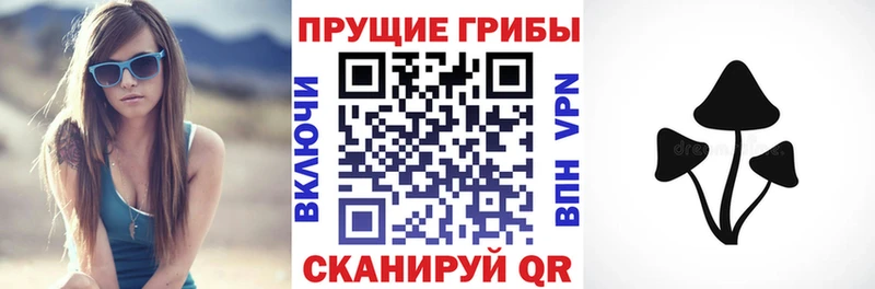 Галлюциногенные грибы прущие грибы  Кологрив 