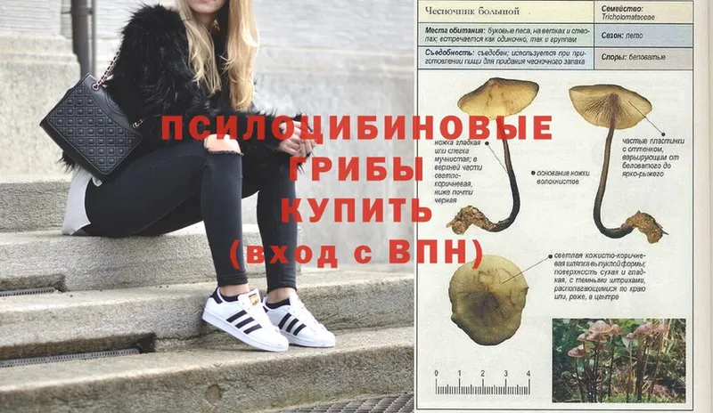 это официальный сайт  hydra зеркало  Кологрив  Галлюциногенные грибы Magic Shrooms 