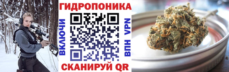 закладка Кологрив Конопля MAZAR
